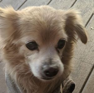 Meet your Posher, April